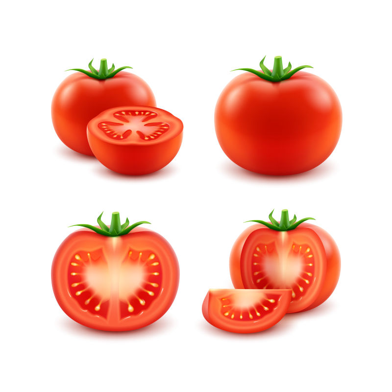 创意矢量新鲜红色番茄插图