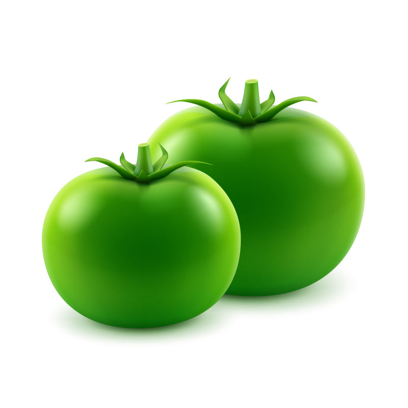 矢量创意绿番茄的平面插图