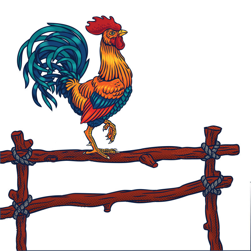 矢量站在篱笆上的彩色公鸡