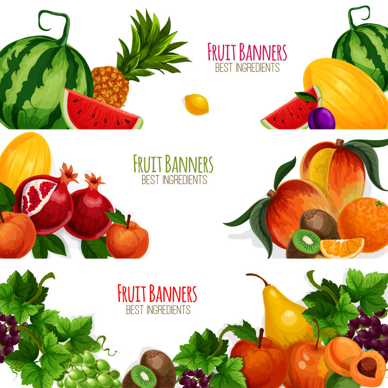 创意矢量水果元素的横幅设计插图