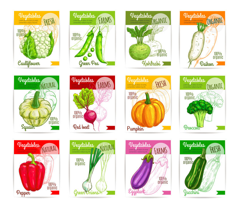 创意矢量手绘蔬菜元素的横幅平面设计