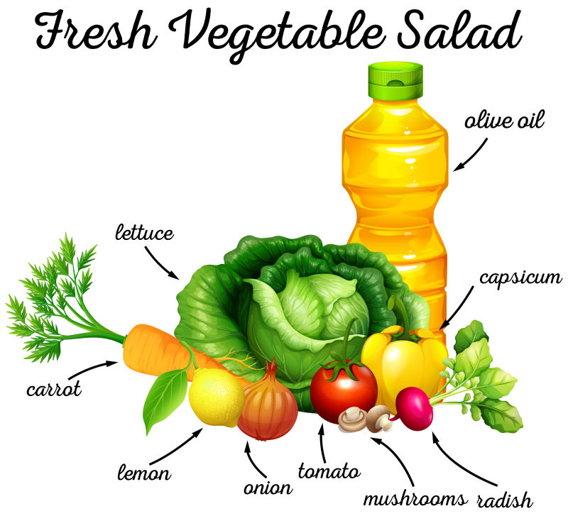 新鲜蔬菜和橄榄油矢量插图