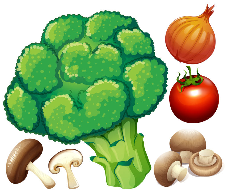 新鲜蔬菜插图矢量设计
