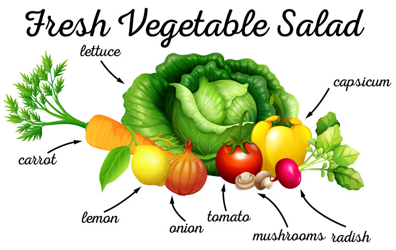 矢量健康蔬菜插图