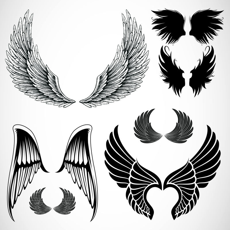 创意的手绘翅膀插图矢量设计