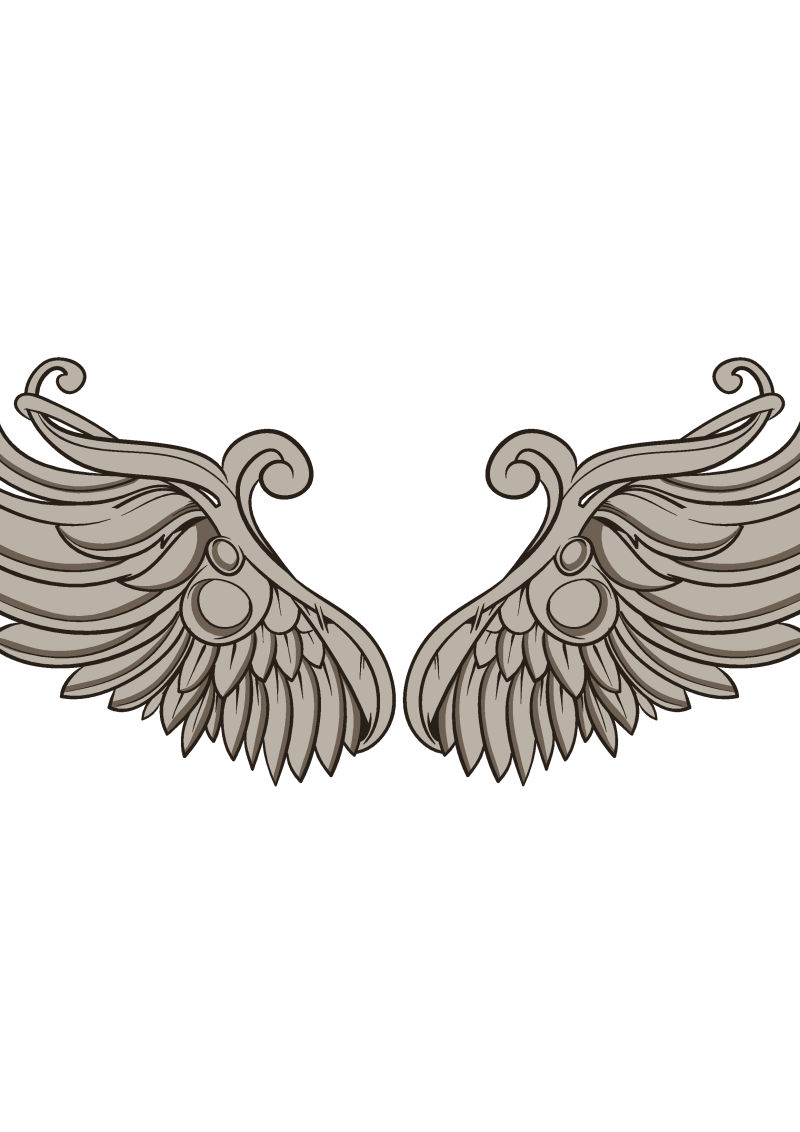 手绘的翅膀插图矢量设计