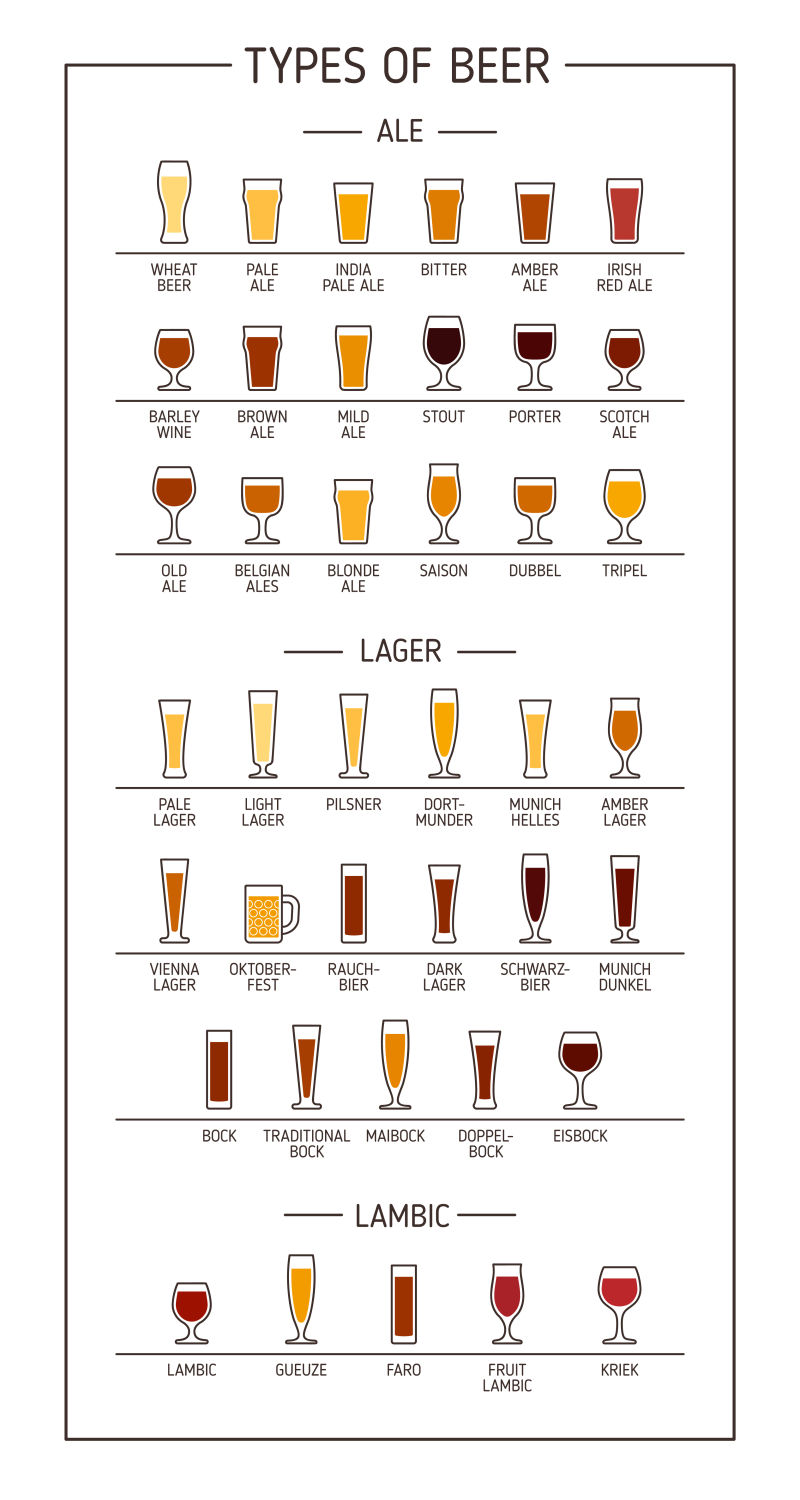 啤酒的种类矢量插图