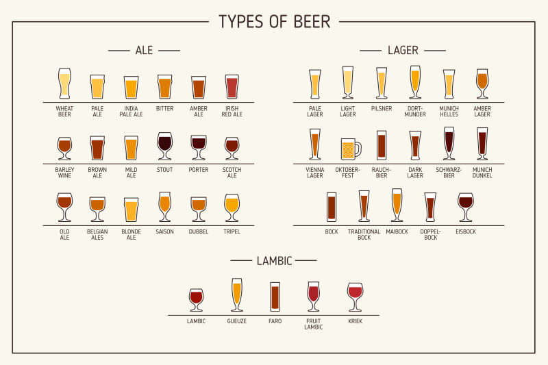 啤酒的种类推荐矢量插图