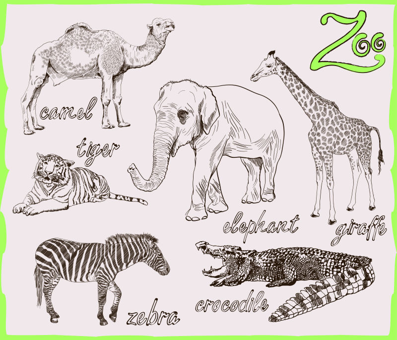 手绘野生动物插图矢量设计