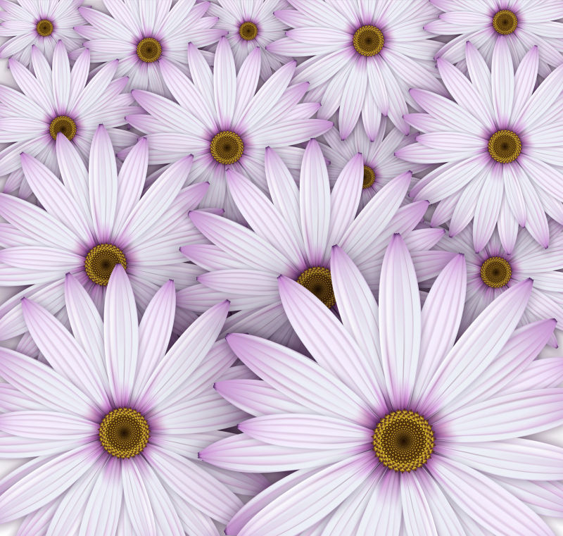 矢量紫色雏菊花设计