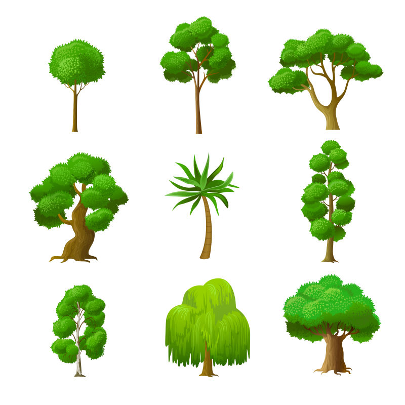 绿色植物插图矢量设计