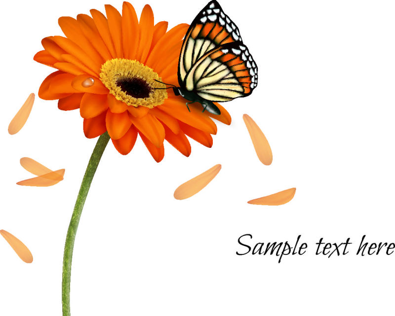 蝴蝶和花矢量背景