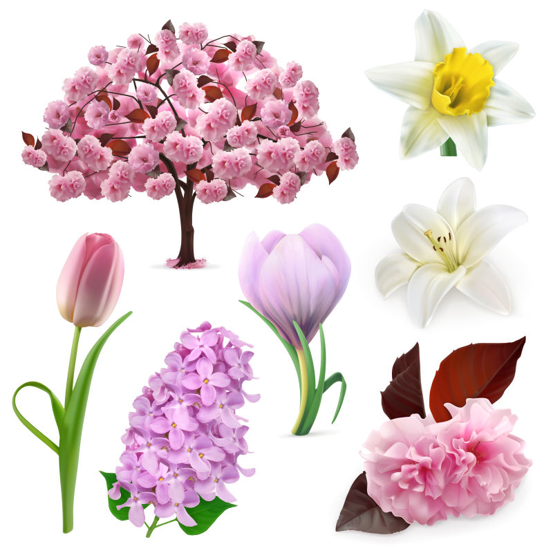 创意矢量美丽的春季花卉设计