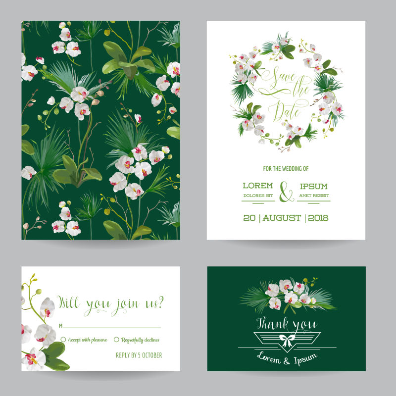 创意矢量美丽热带花卉元素的装饰卡片设计