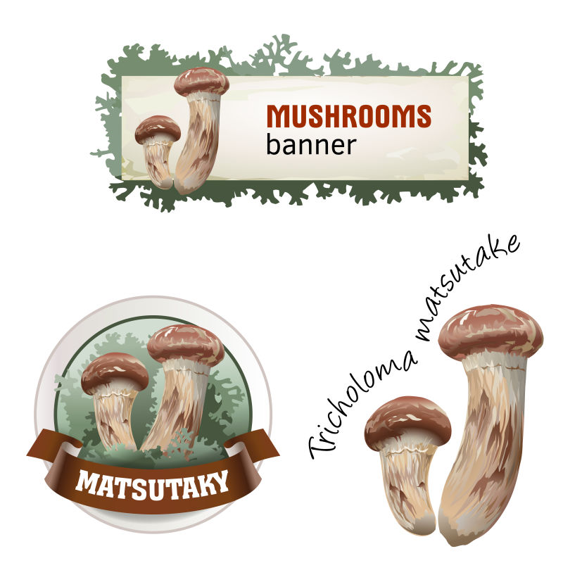 蘑菇矢量横幅徽章贴纸松茸图标