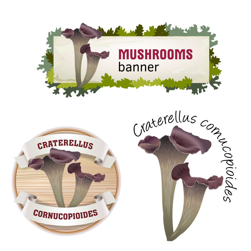 蘑菇矢量横幅徽章贴纸图标