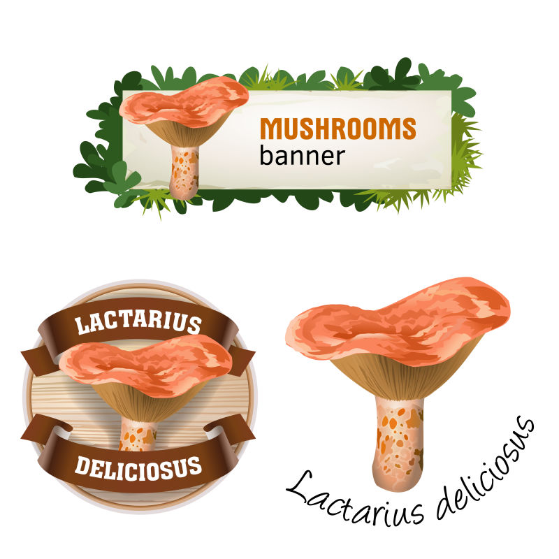 蘑菇矢量横幅徽章贴纸牛奶蘑菇图标