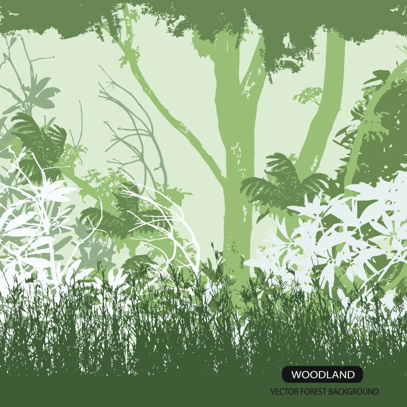 手绘绿色森林插图矢量设计