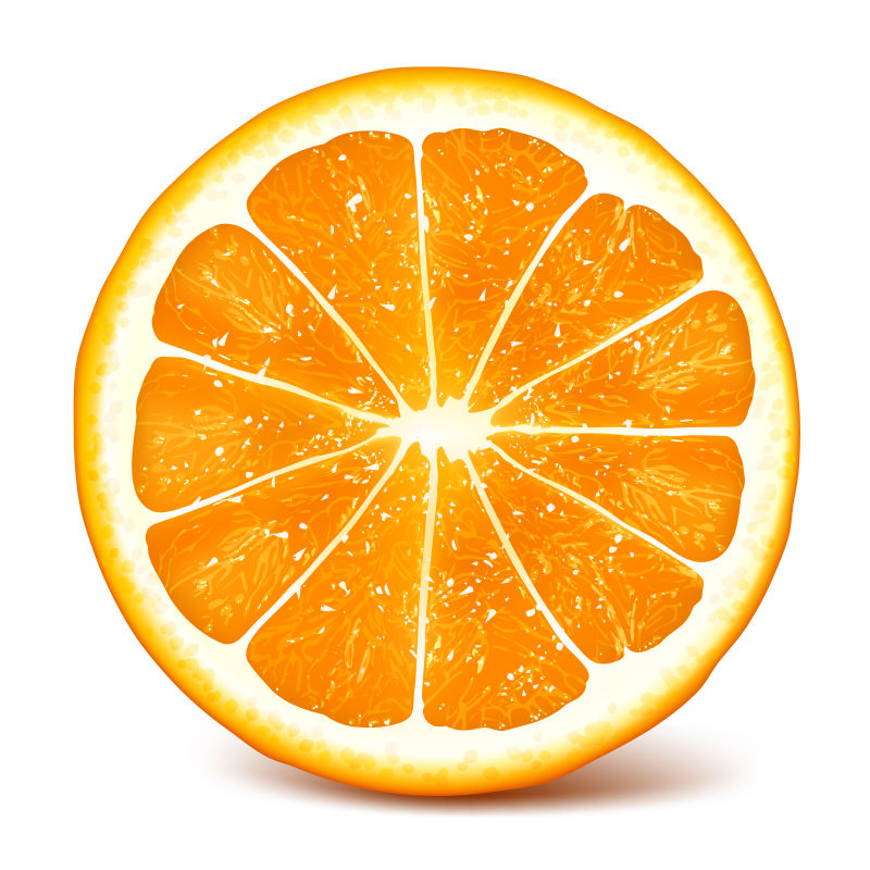 创意矢量成熟的切开的柑橘插图