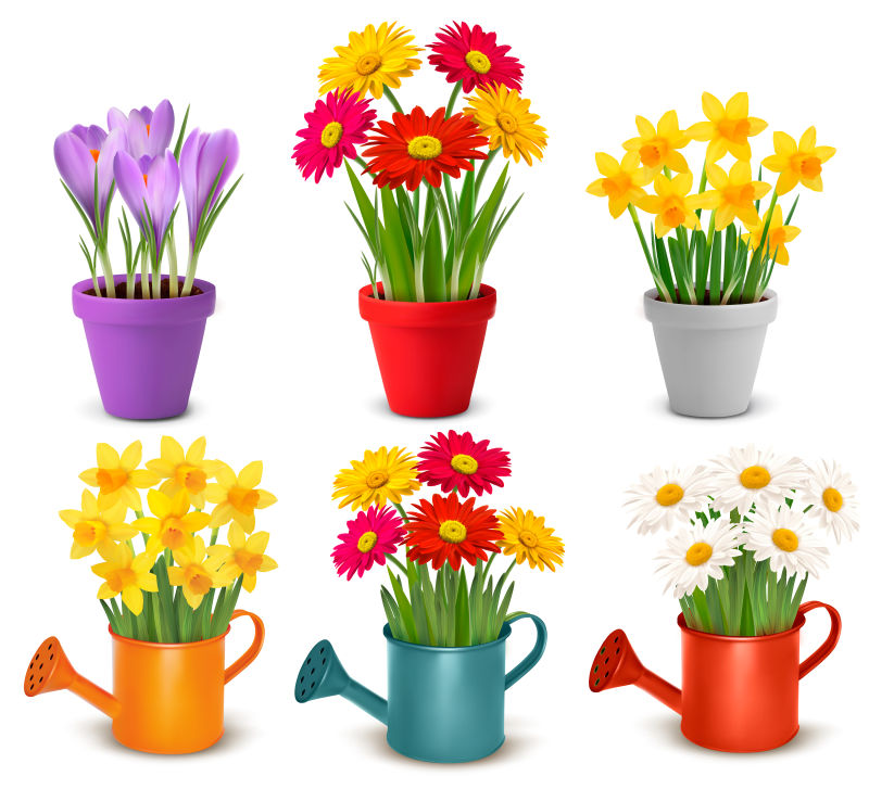 抽象矢量春夏园艺花朵植物插图设计