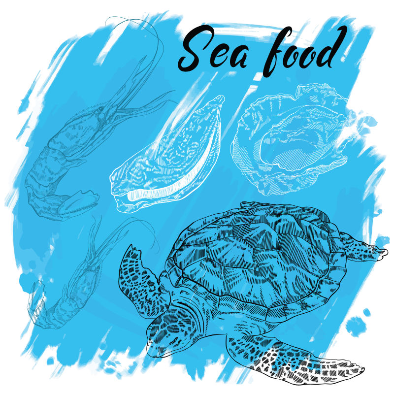 抽象矢量手绘海龟插图