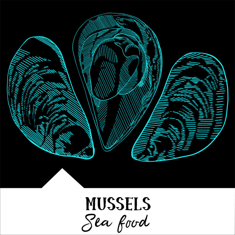抽象矢量手绘线条风格的海鲜食物插图