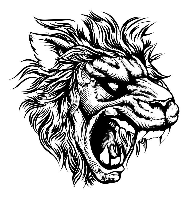 矢量的手绘狮子插图设计