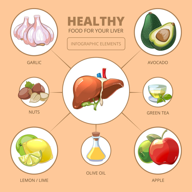 健康的肝脏食品苹果和橄榄柠檬或柠檬绿茶坚果和大蒜的设计矢量插图医学健康信息图表