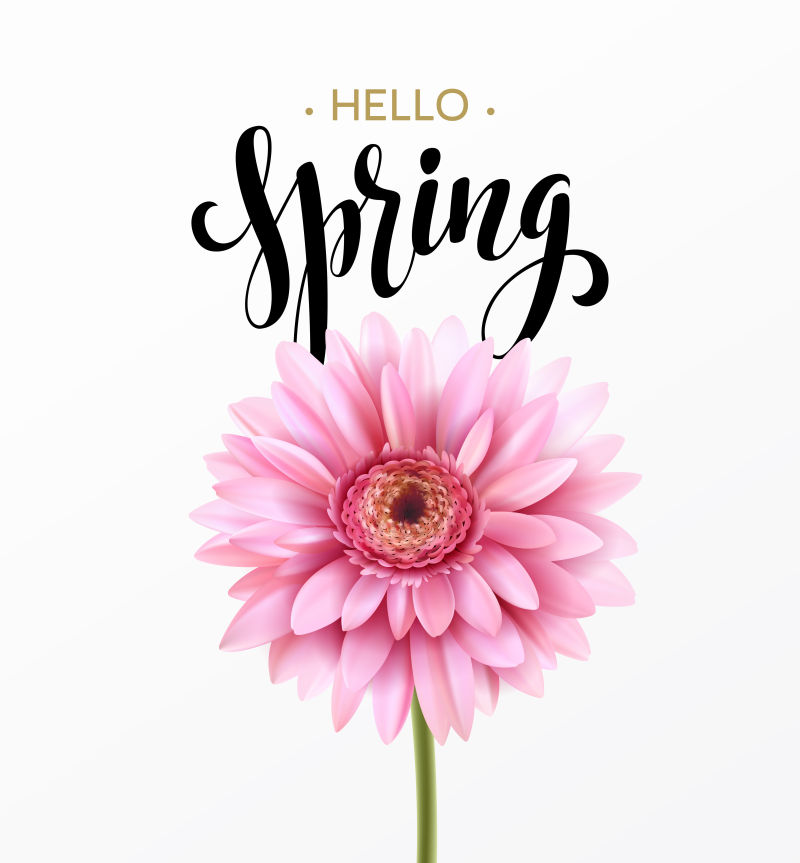 抽象矢量春季主题的菊花元素背景