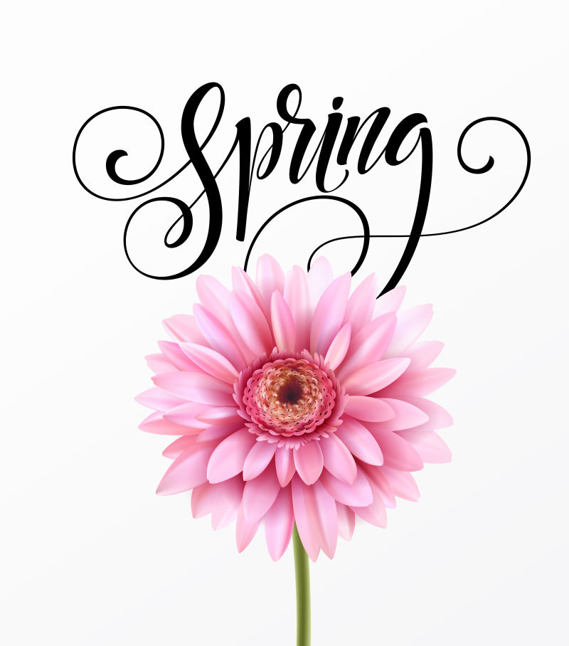创意矢量现代菊花元素的春季背景