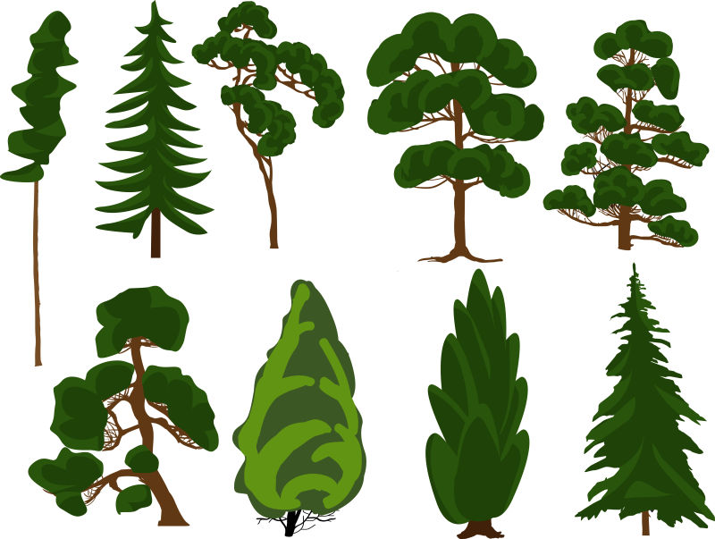 创意矢量抽象树木设计