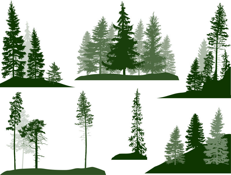 创意矢量绿色树木剪影插图