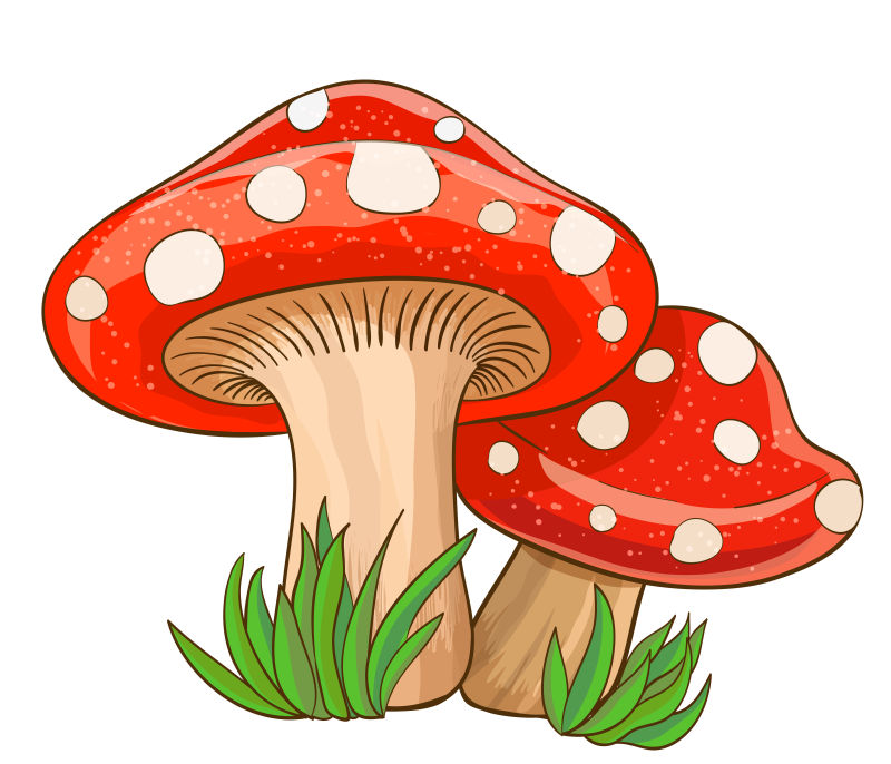 矢量的卡通红色蘑菇