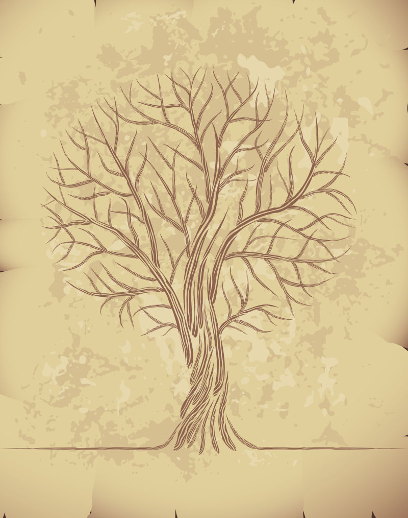 矢量树的手绘插图
