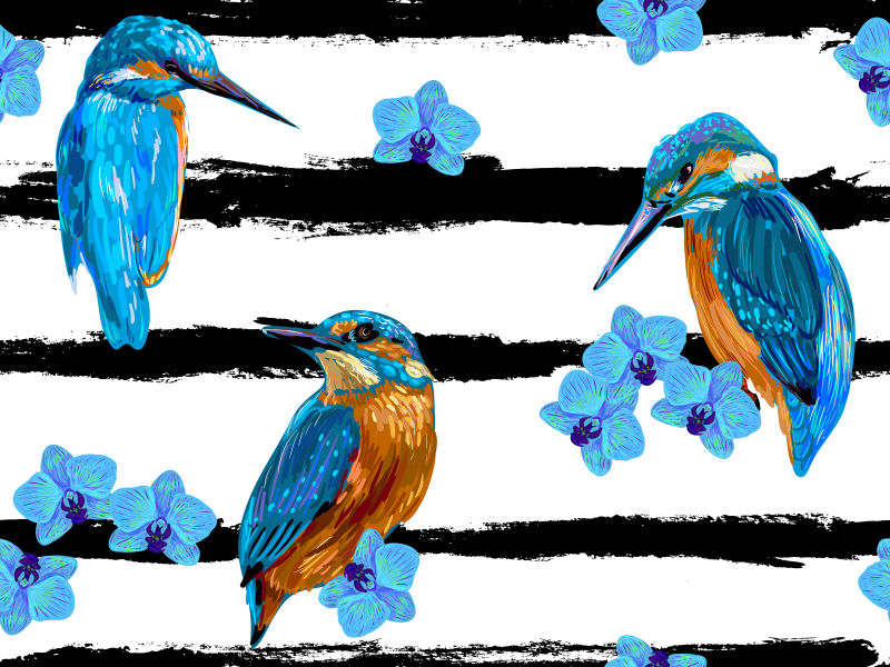 创意矢量蓝鸟和兰花元素的无缝背景设计