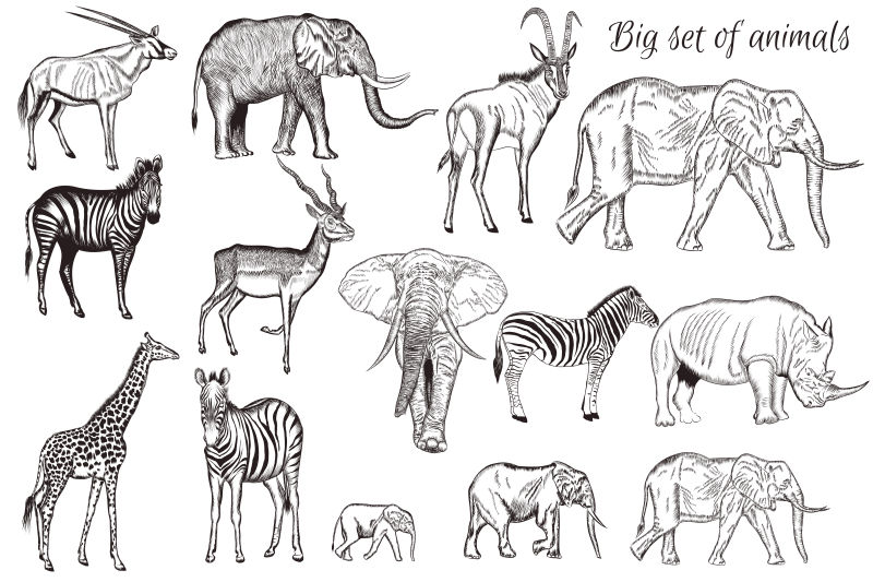 矢量手工绘制的非洲动物