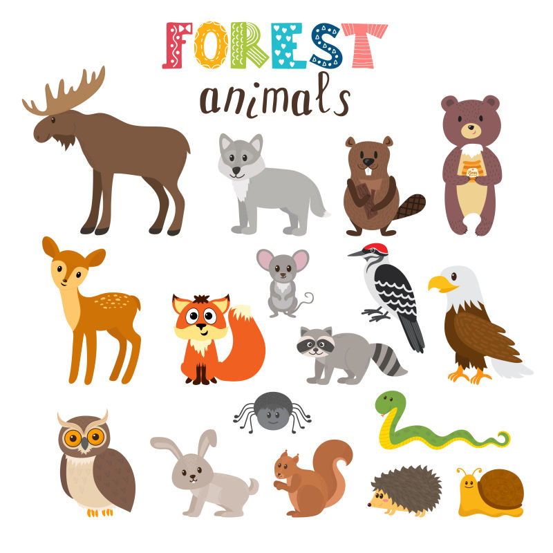 矢量可爱的森林动物集