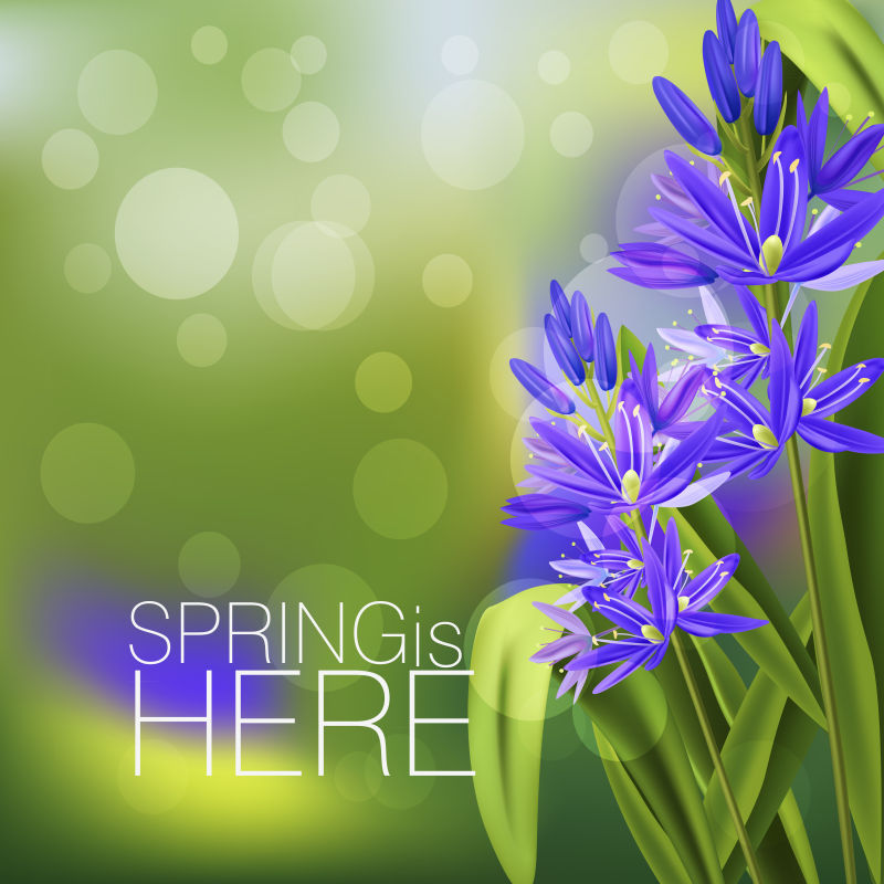 创意矢量美丽花草元素的春季背景设计
