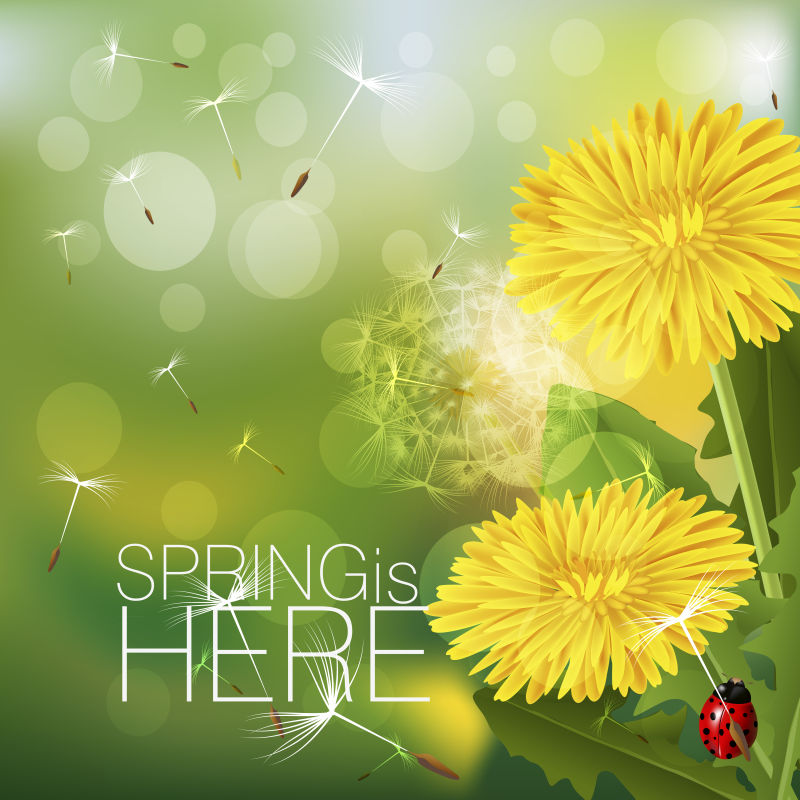 抽象矢量菊花元素的春季背景设计