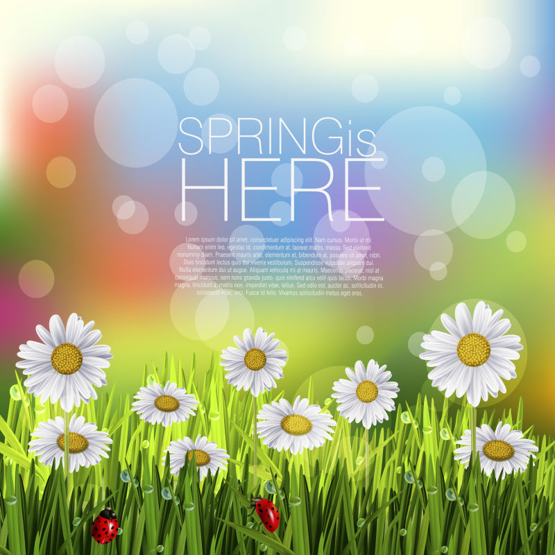 矢量菊花元素的创意春季背景设计