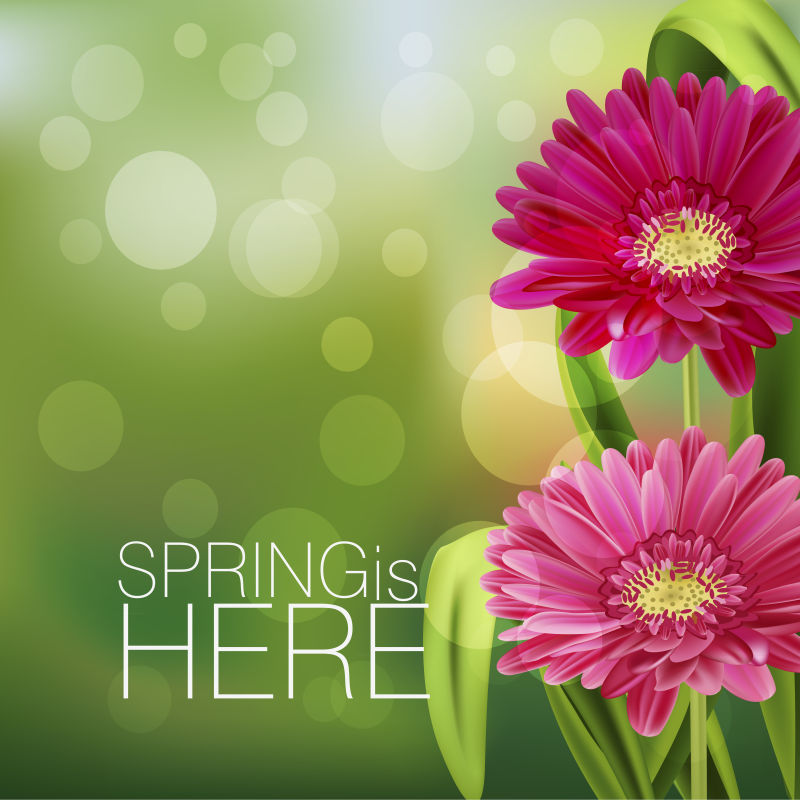 矢量创意菊花元素的春季背景设计
