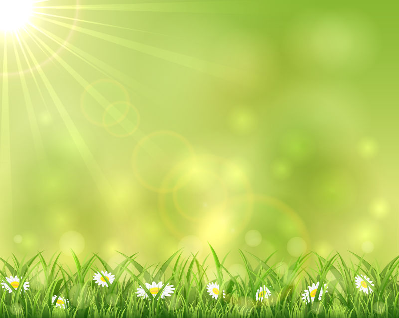 矢量阳光明媚的绿草元素背景