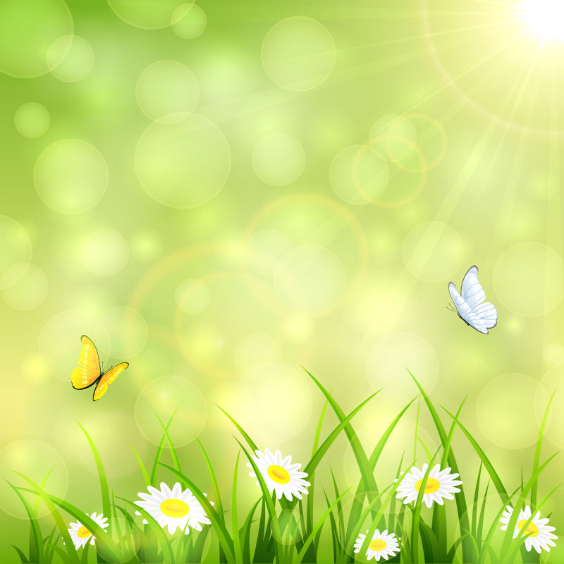 创意矢量绿色假日飞蝶元素的春季背景
