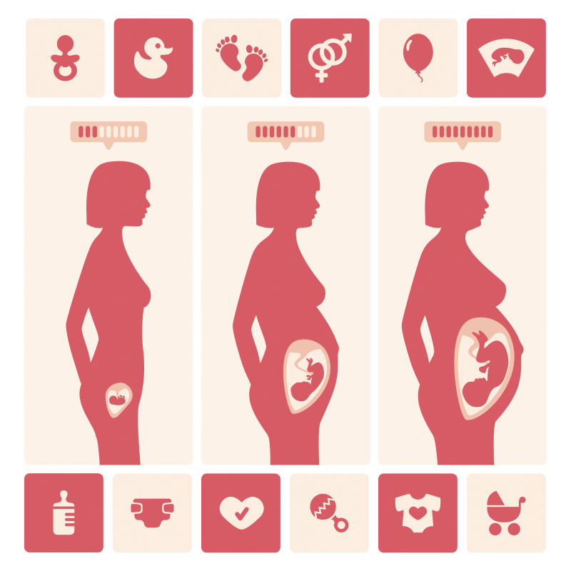 矢量抽象现代胎儿生长的平面插图设计