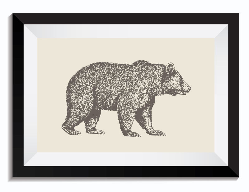 矢量的手绘棕熊插图