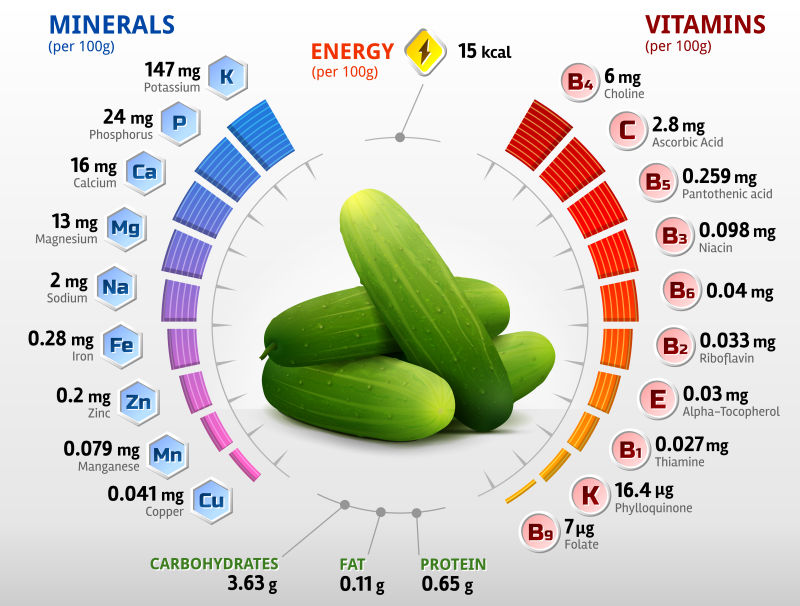 创意矢量黄瓜元素的信息图表设计