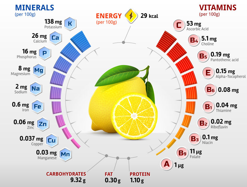 柠檬元素的矢量信息图表设计
