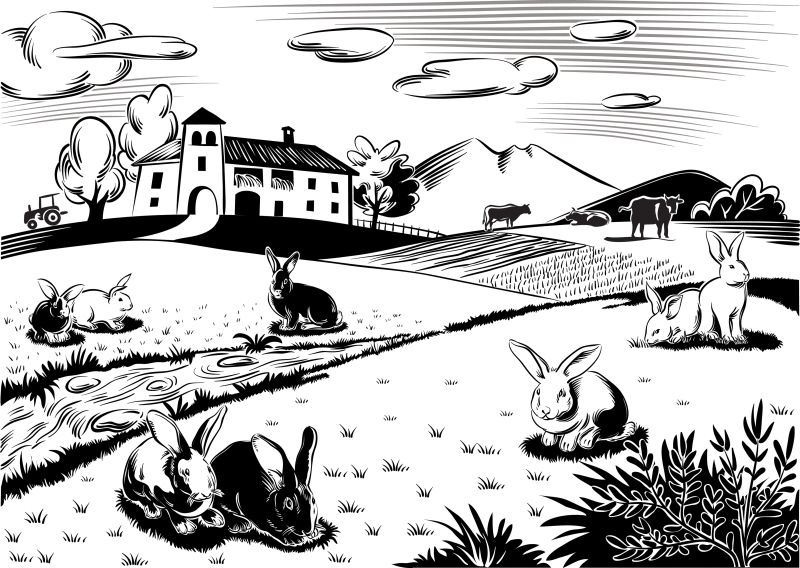 创意矢量卡通草地上的兔子插图