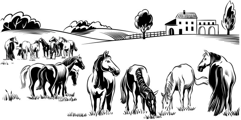 矢量农场中饲养的马插图