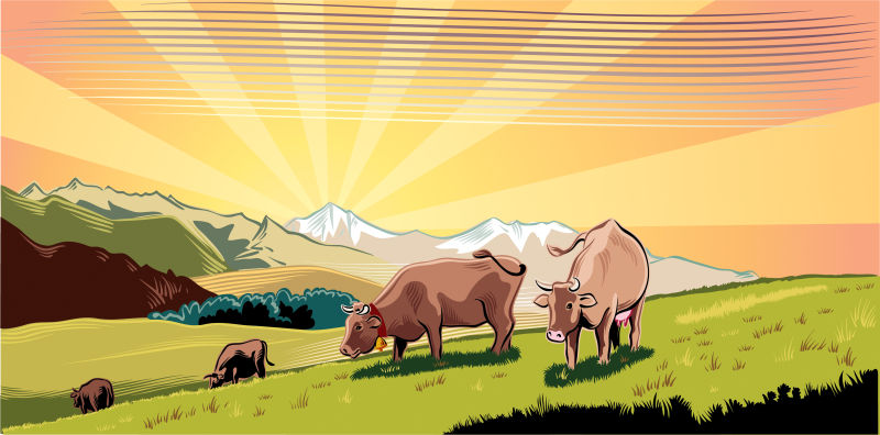 创意矢量农场中吃草的牛插图